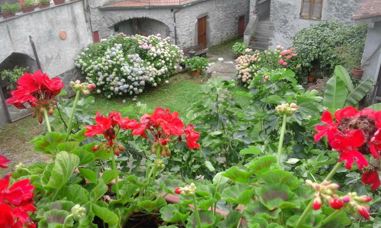 B&B Alle Ortensie Blu Sesta Godano Екстериор снимка